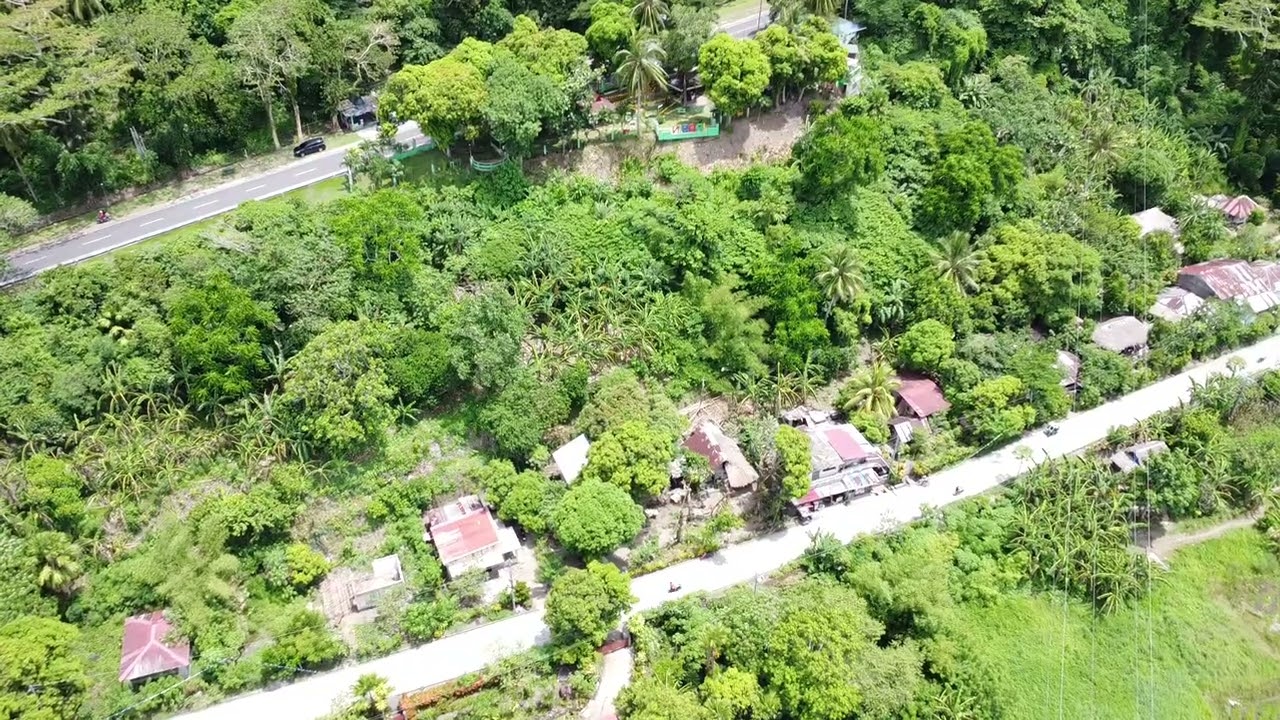 DJI 0349