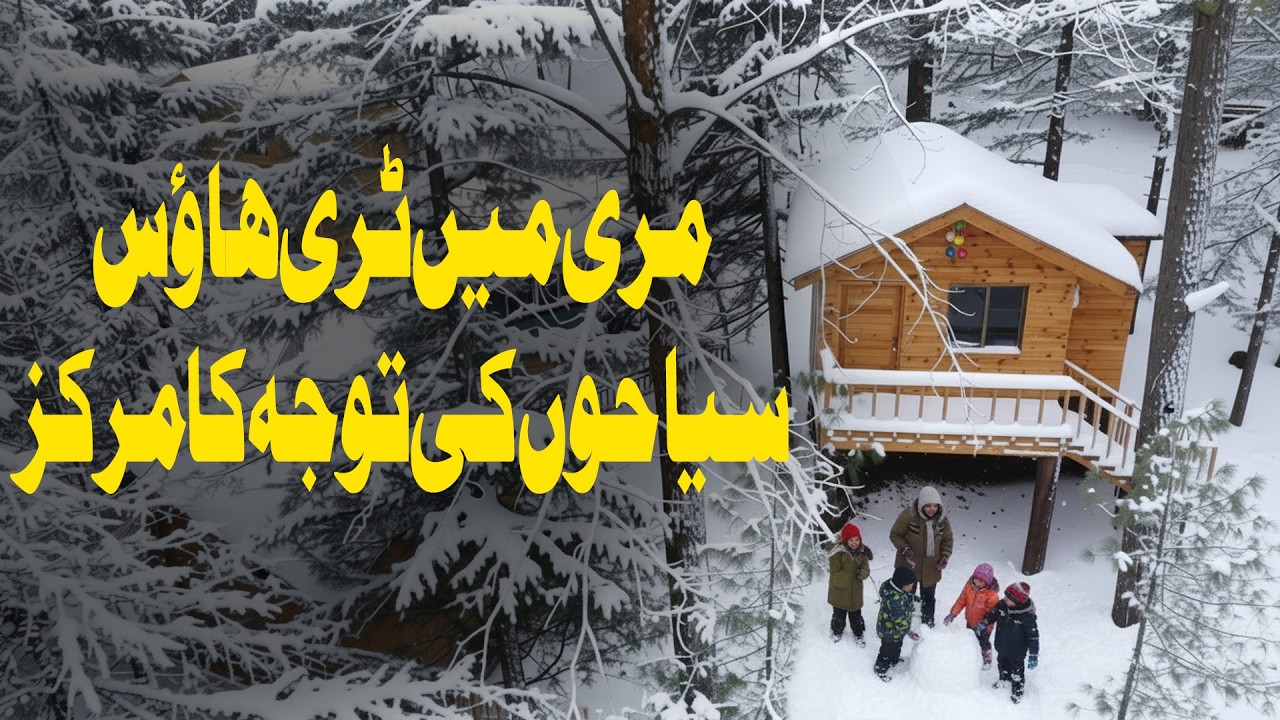 Tree House in Murree! A Major Attraction for Tourists