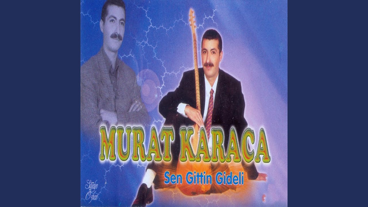 Sen Gittin Gideli