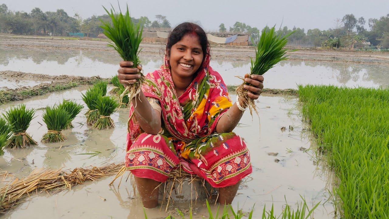 Purna Radha sundarban village