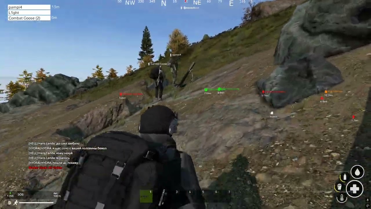 DayZ