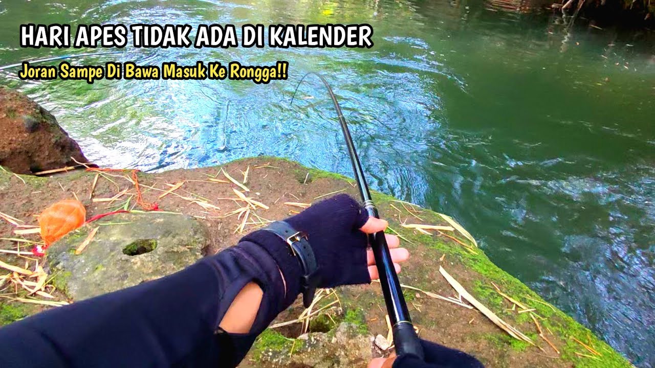 JORAN HAMPIR PATAH!! Spot Mancing Syahdu Tapi Ikannya Ganas-Ganas