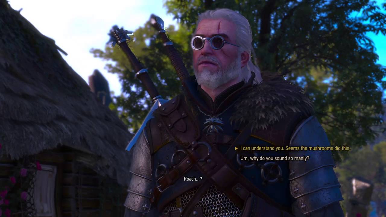 The Witcher 3 Geralt takes shrooms, talks to Roach