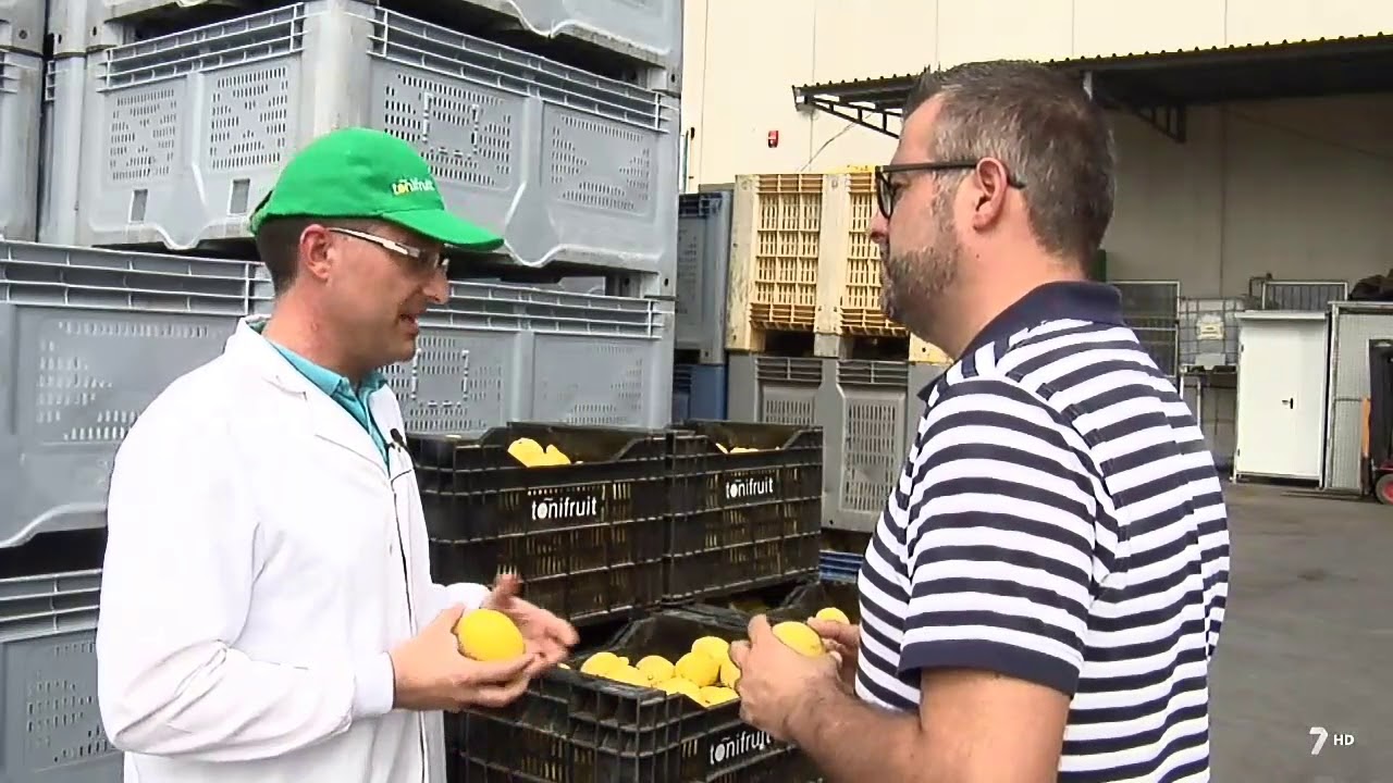 Limón Verna ecológico
