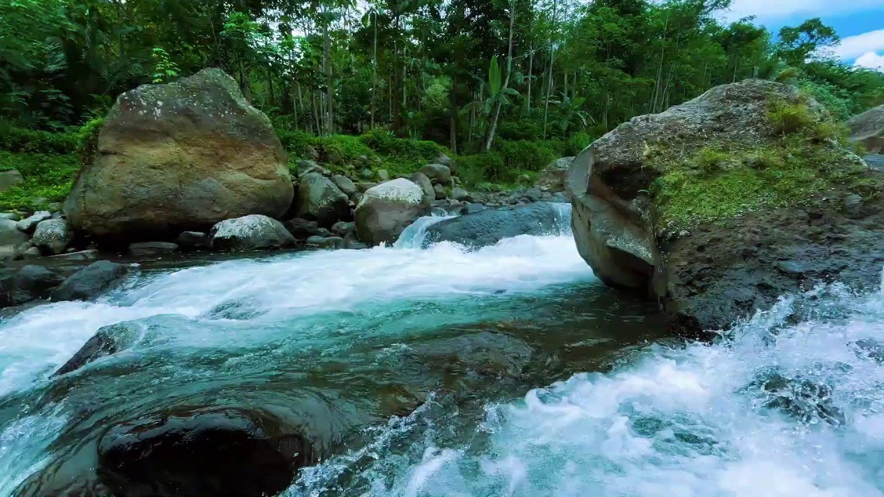 Calm Flowing River Sounds for Sleep | Natural Insomnia Remedy & Stress Relief All Night