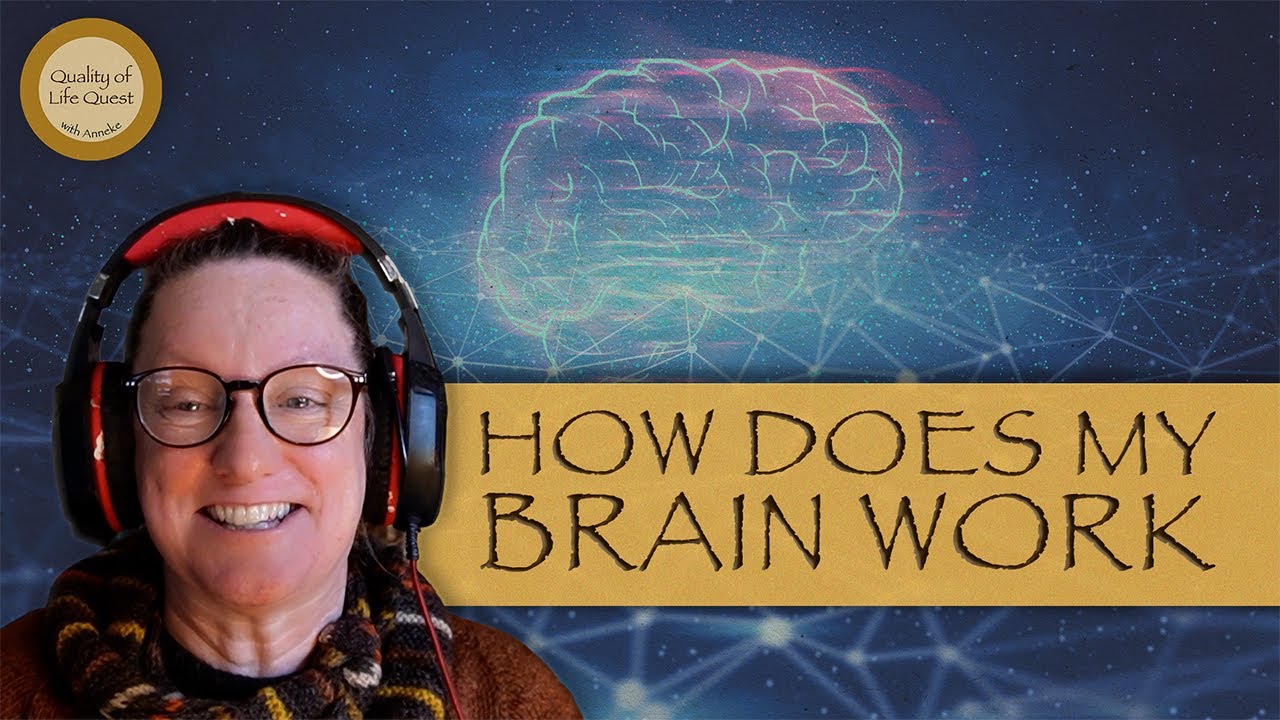 How My Brain Works!