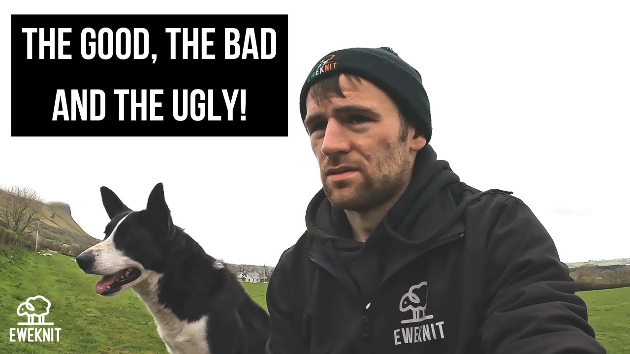 A WHOLE YEAR OF IRISH HILL FARMING IN 39 MINUTES