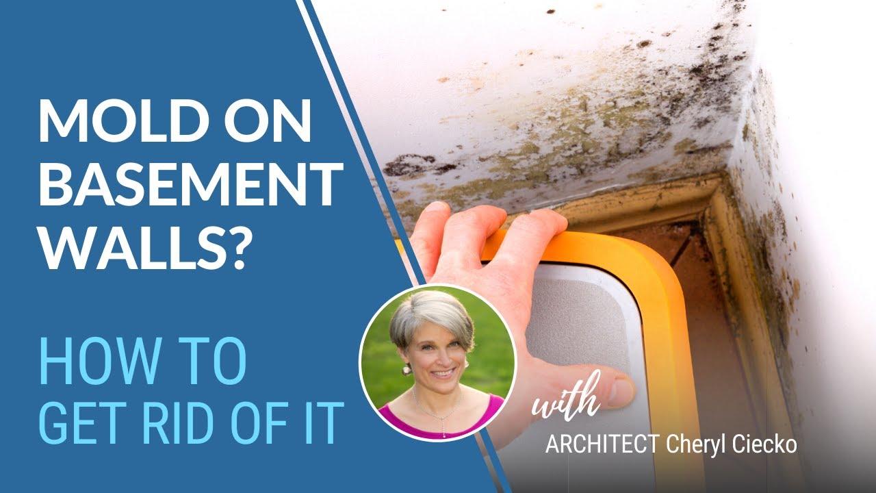 Get Rid Of Mold On Basement Walls EPISODE 13 Building Well & Avoiding Mold