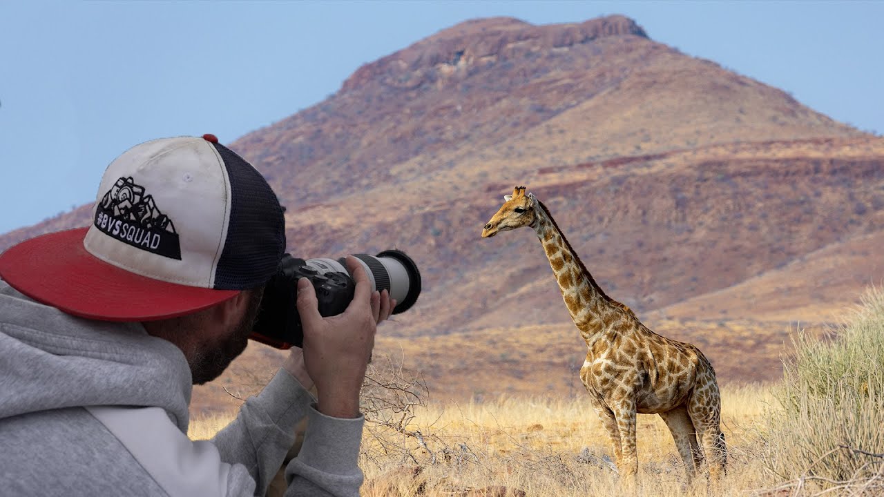 Back to Wildlife Photography... Mostly