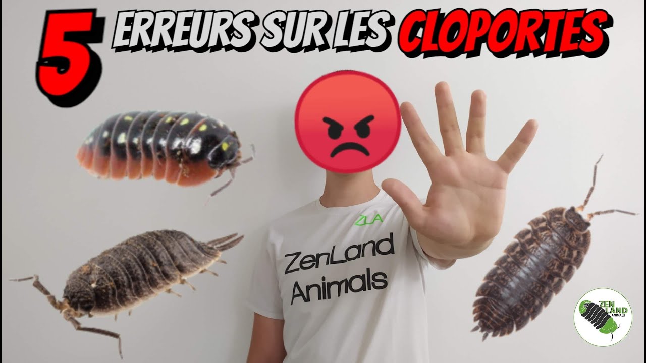 5 ERREURS sur les CLOPORTES
