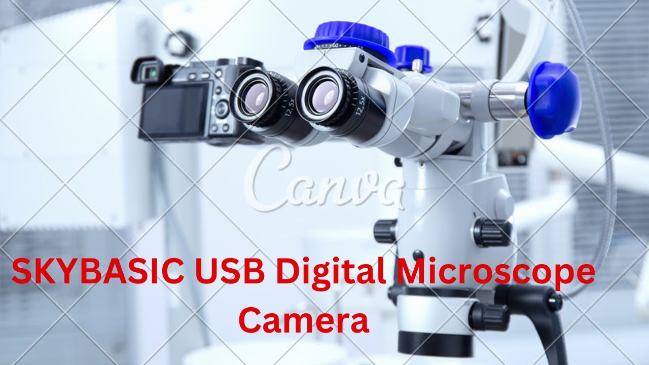 Amazoncom SKYBASIC USB Digital Microscope Camera Handheld HD Inspection Camera 50x 1600x