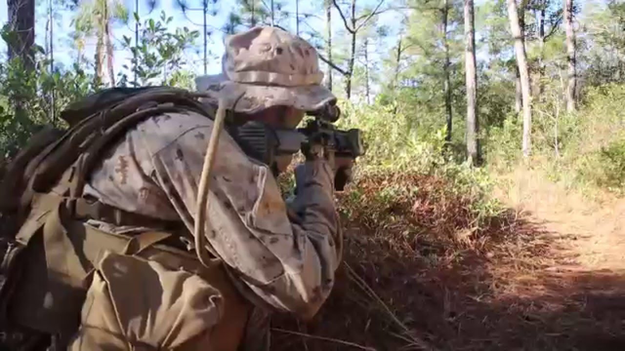Marines with 2nd LAR conduct patrolling techniques