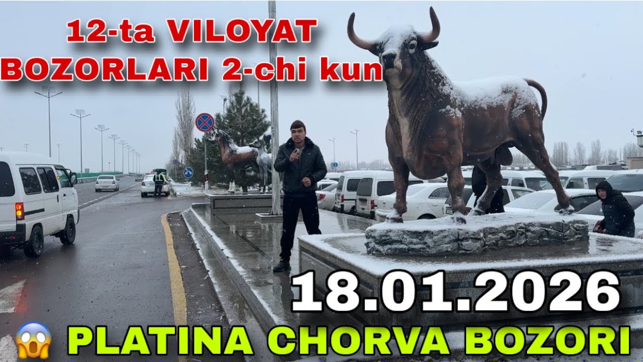 PALTINA MOL BOZORI — SHOK NARXLAR! SHOSHILING 🔥 2-CHI KUN START