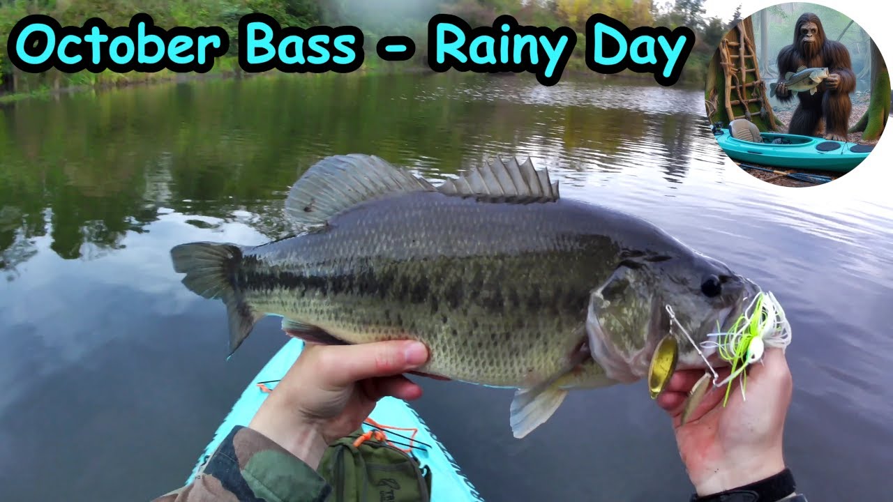 Bass fishing on a rainy day in October.