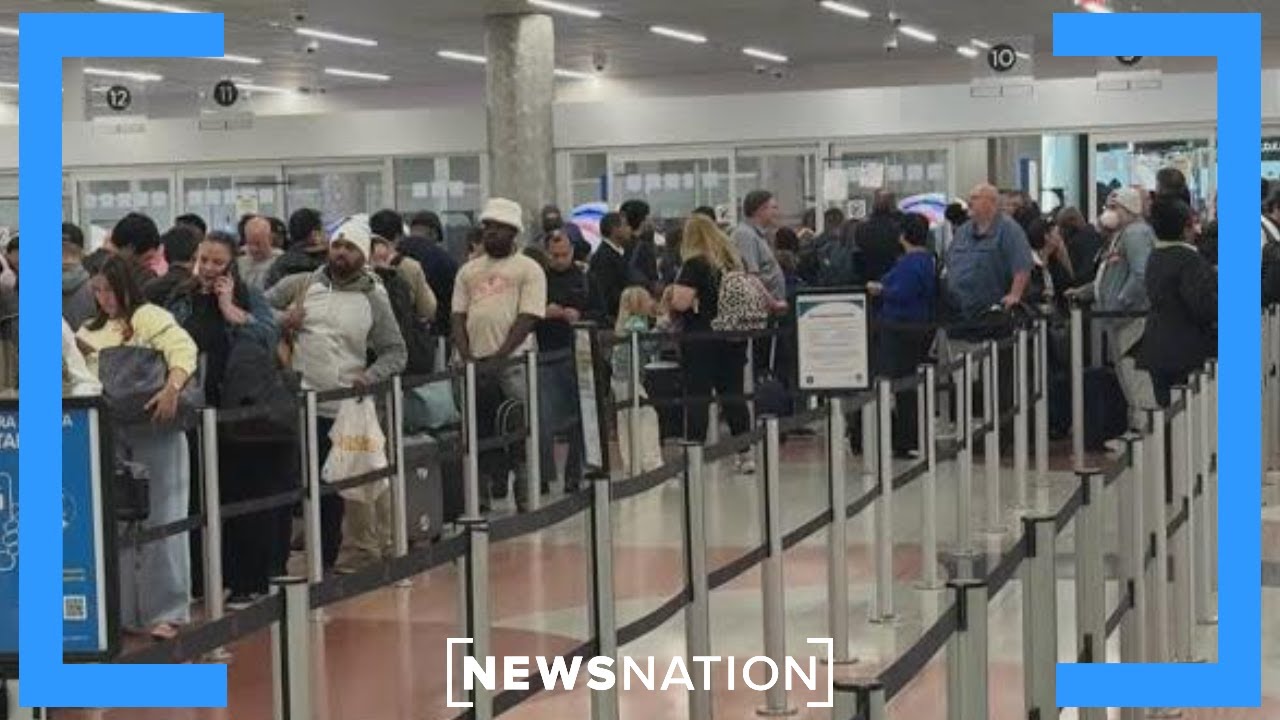 Количество обращений в TSA (Управление транспортной безопасности США) достигло рекордных показате...