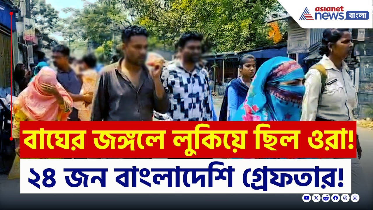 বাঘের জঙ্গলে লুকিয়ে ছিল ওরা! বেরতেই গ্রেফতার ২৪ জন অবৈধ বাংলাদেশী | Bangladeshi | Gosaba | News