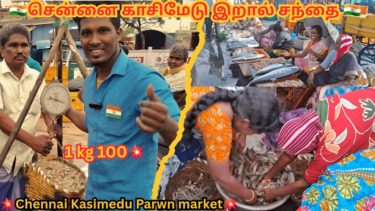💥🍤 காசிமேடு இறால் சந்தை | Chenni kasimedu biggest prawn market | Kasimedu fish market #trending