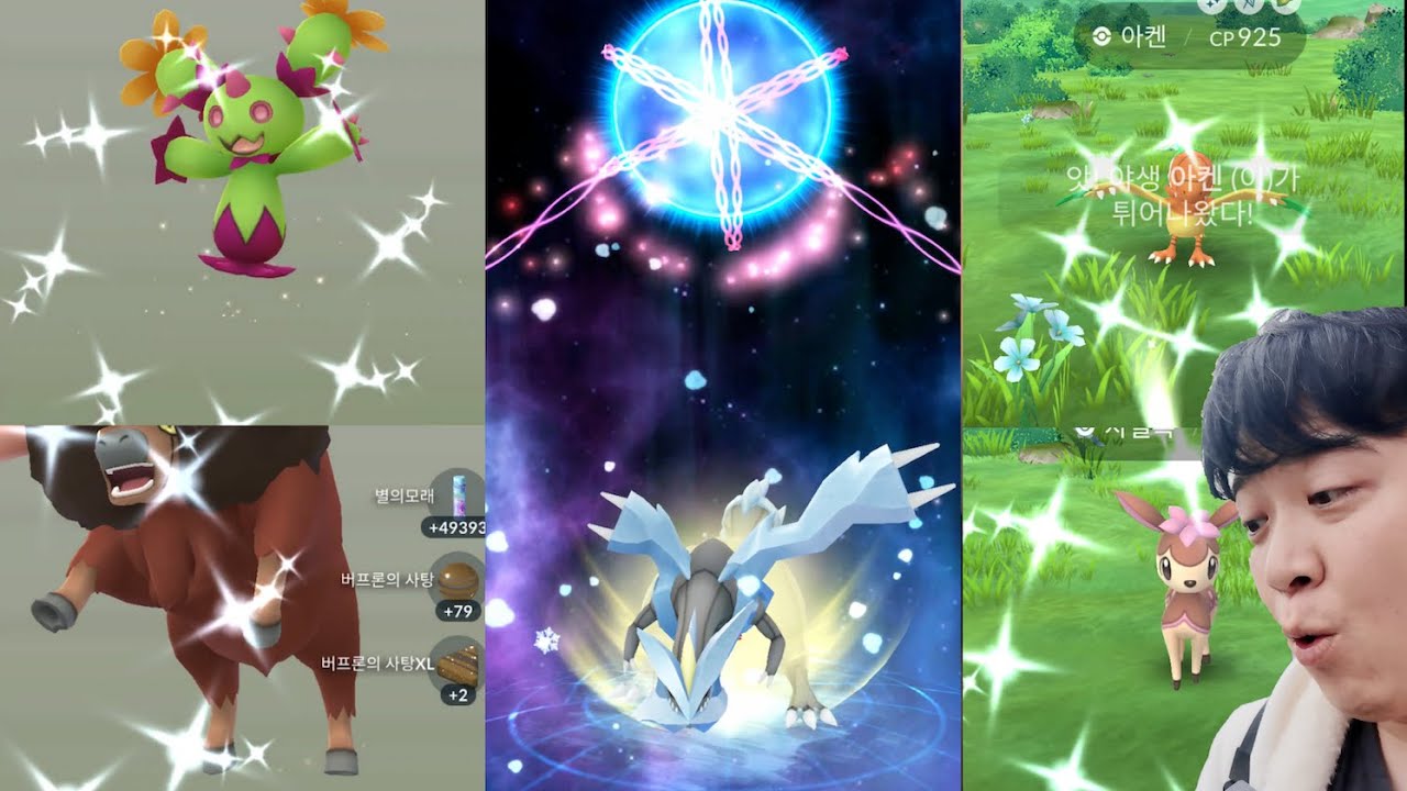 하나투어에서 백로치 겟! 블랙큐레무 합체와 무료 전설 코드?! [포켓몬고]