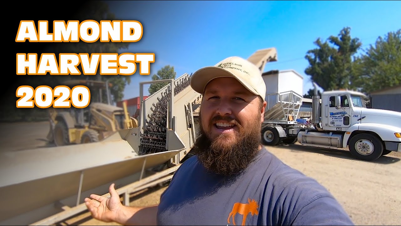 Almond Harvest 2020: Strong Winds Make for An Interesting Harvest