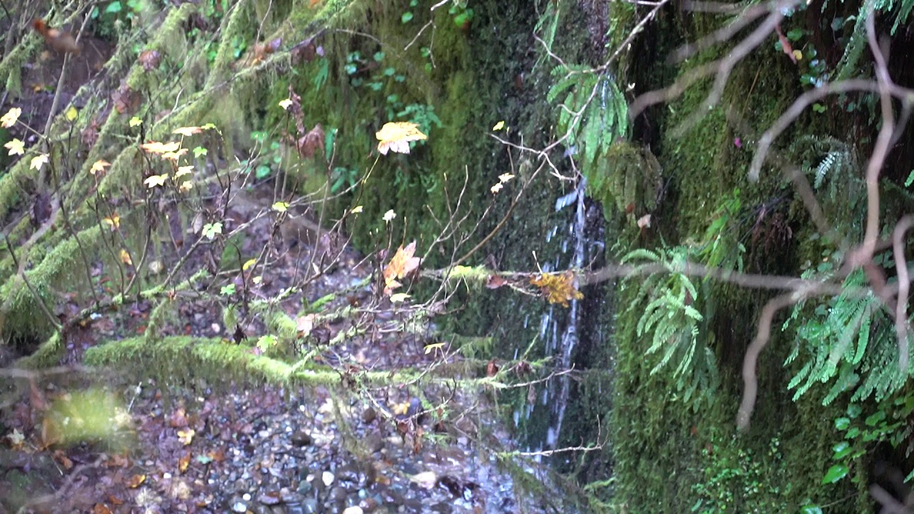 World of Waterfalls: Waterfall at Bridge on James Irvine Trail