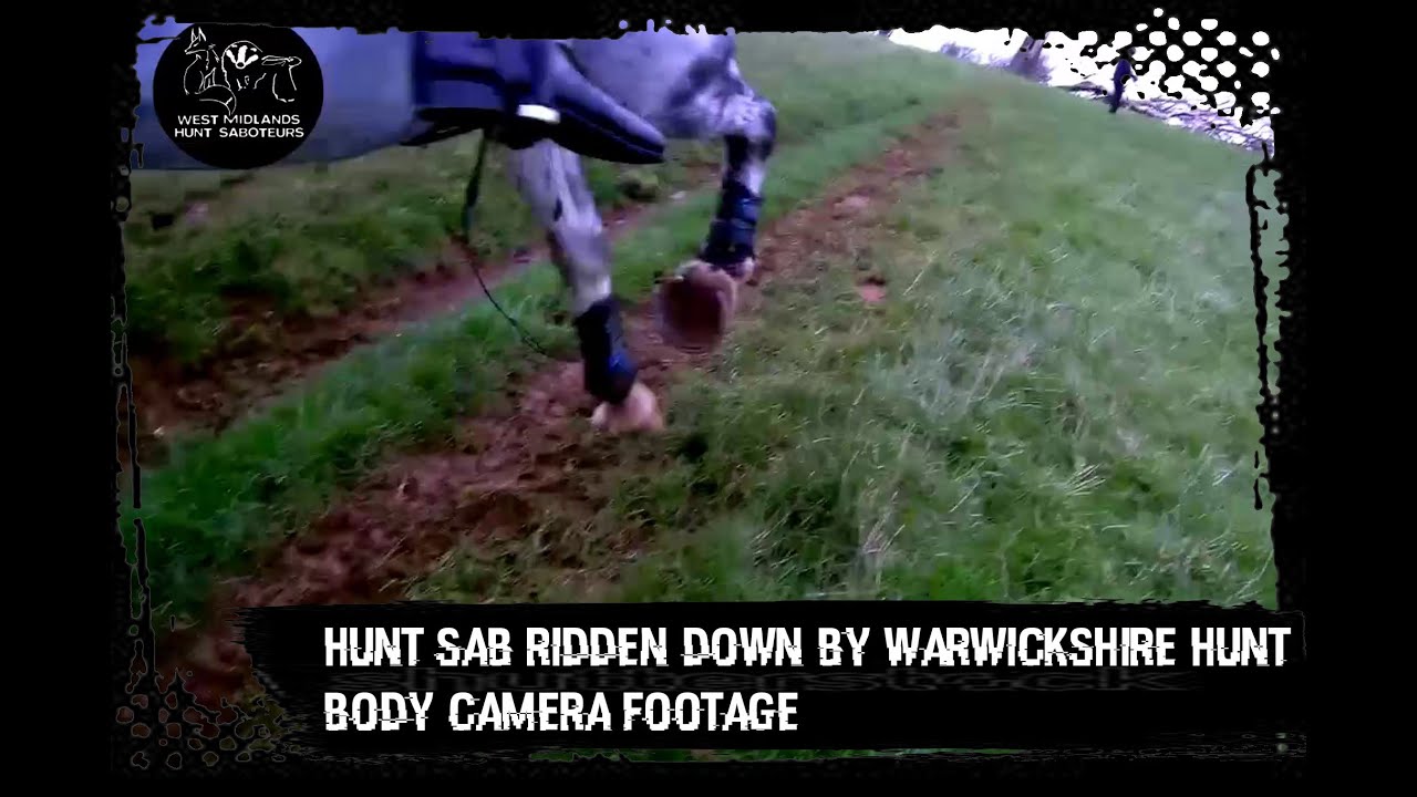 Sab ridden down by Warwickshire Hunt - body camera footage