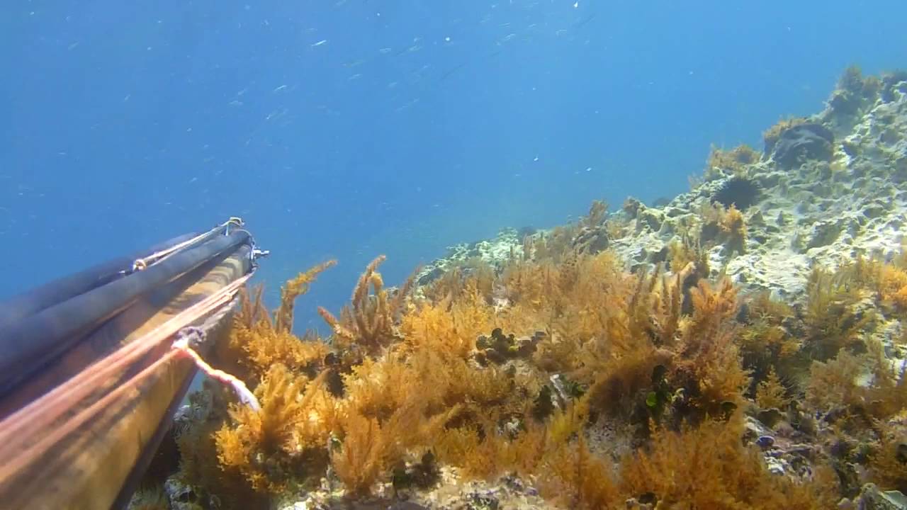 PRIMI DI GIUGNO A GALLIPOLI