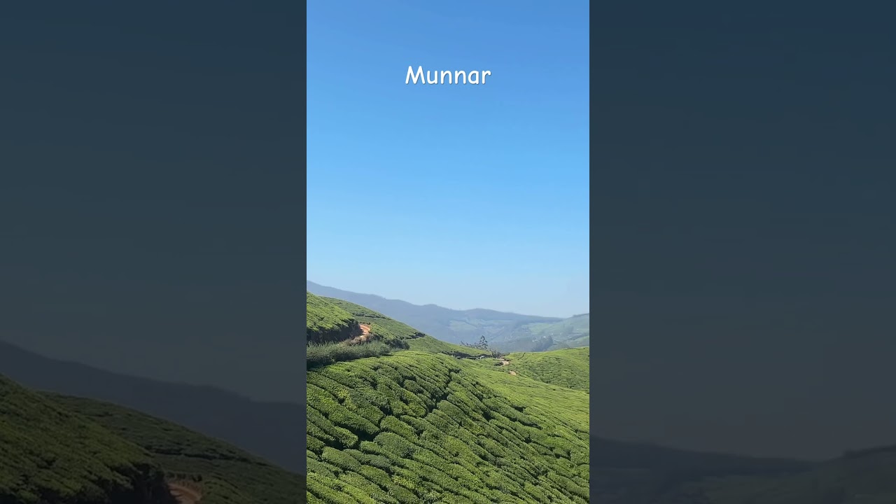 Tea estates , munnar