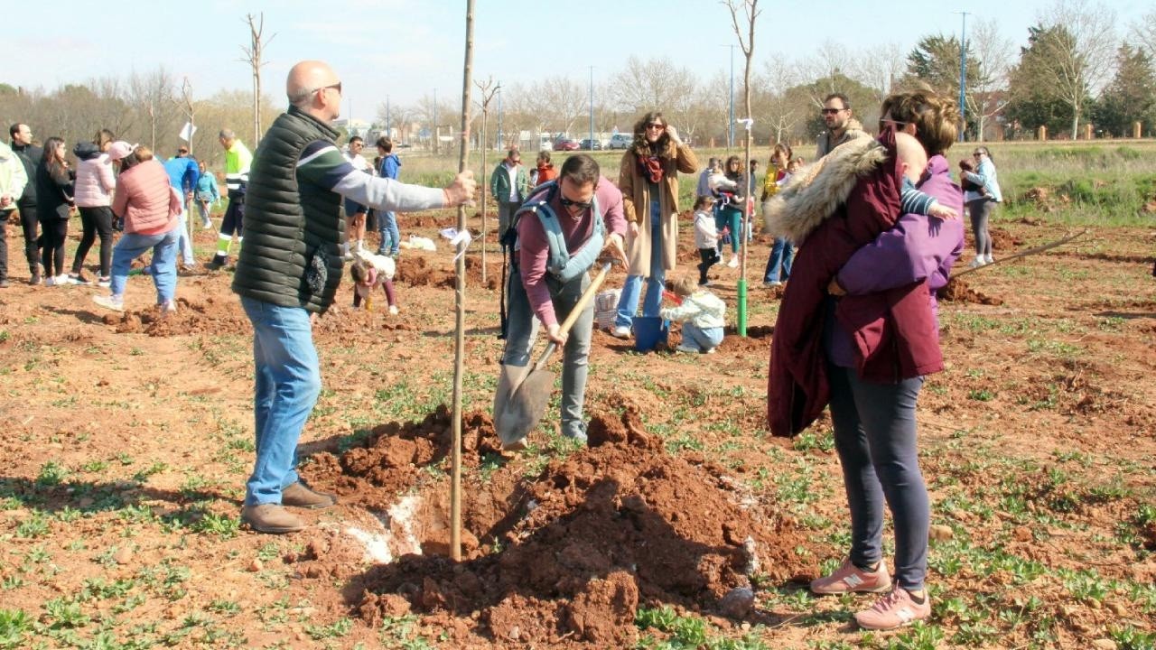 Más de 240 familias alcazareñas plantaban un árbol en 2025 en el Bosque de la Vida