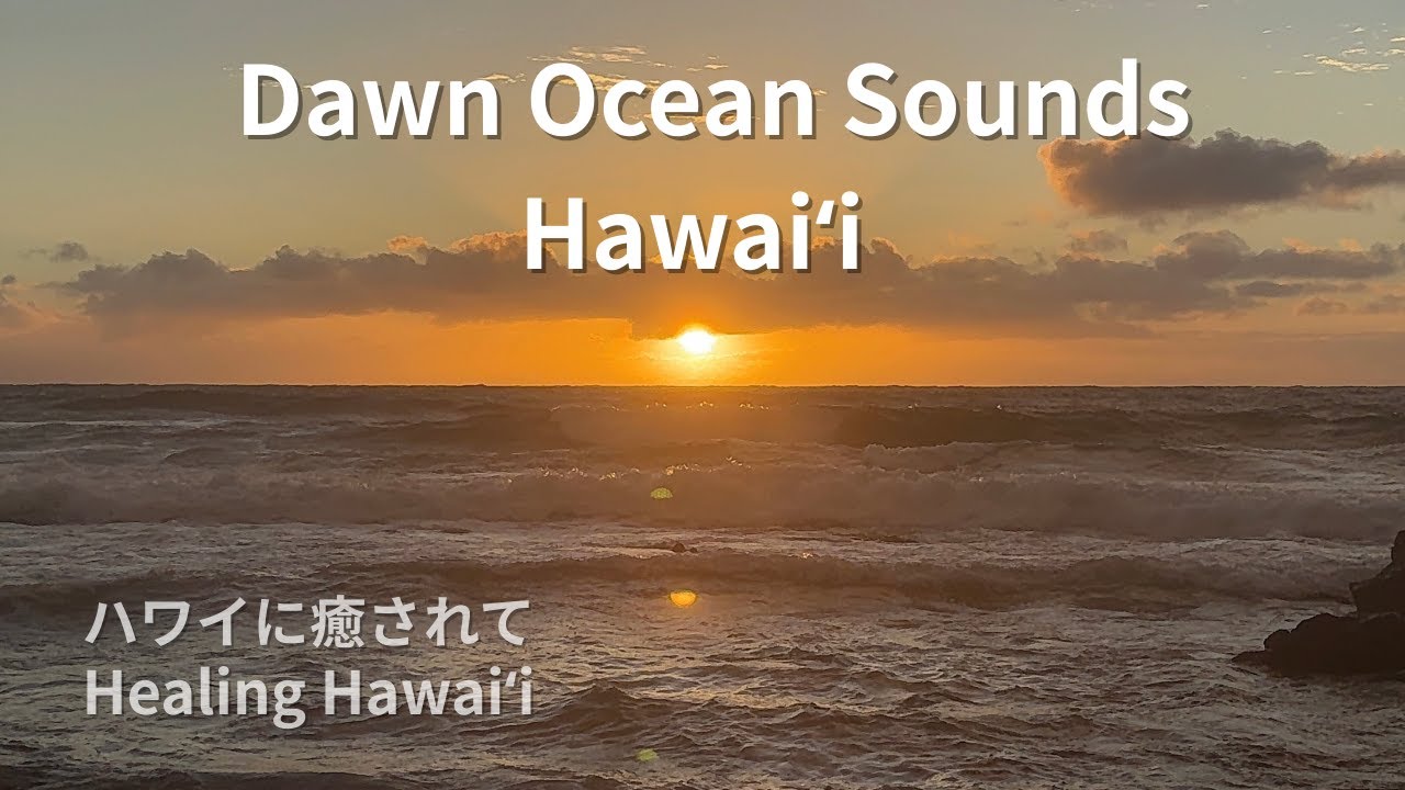 【癒しの10分 | 10MIN Healing Hawaiʻi】夜明けの波音 |  Sandy Beach, Hawaiʻi
