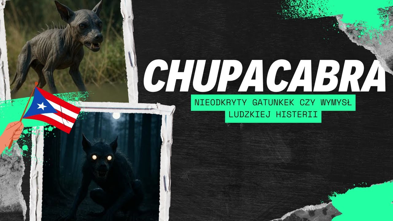 Chupacabra - nieodkryty gatunek czy wymysł ludzkiej histerii ?