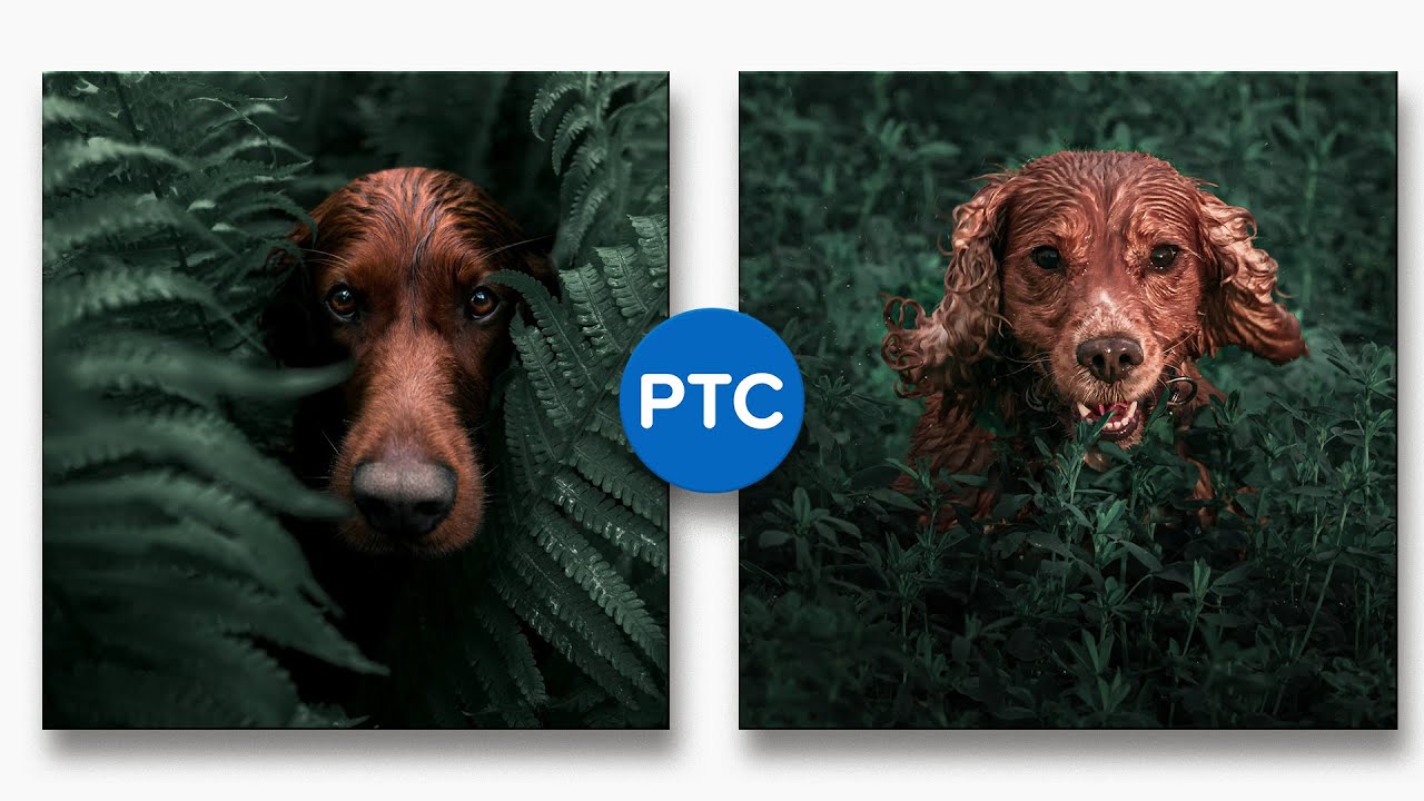 Create a Beautiful Dark Green Moody Look in Photoshop! - Copycat #2