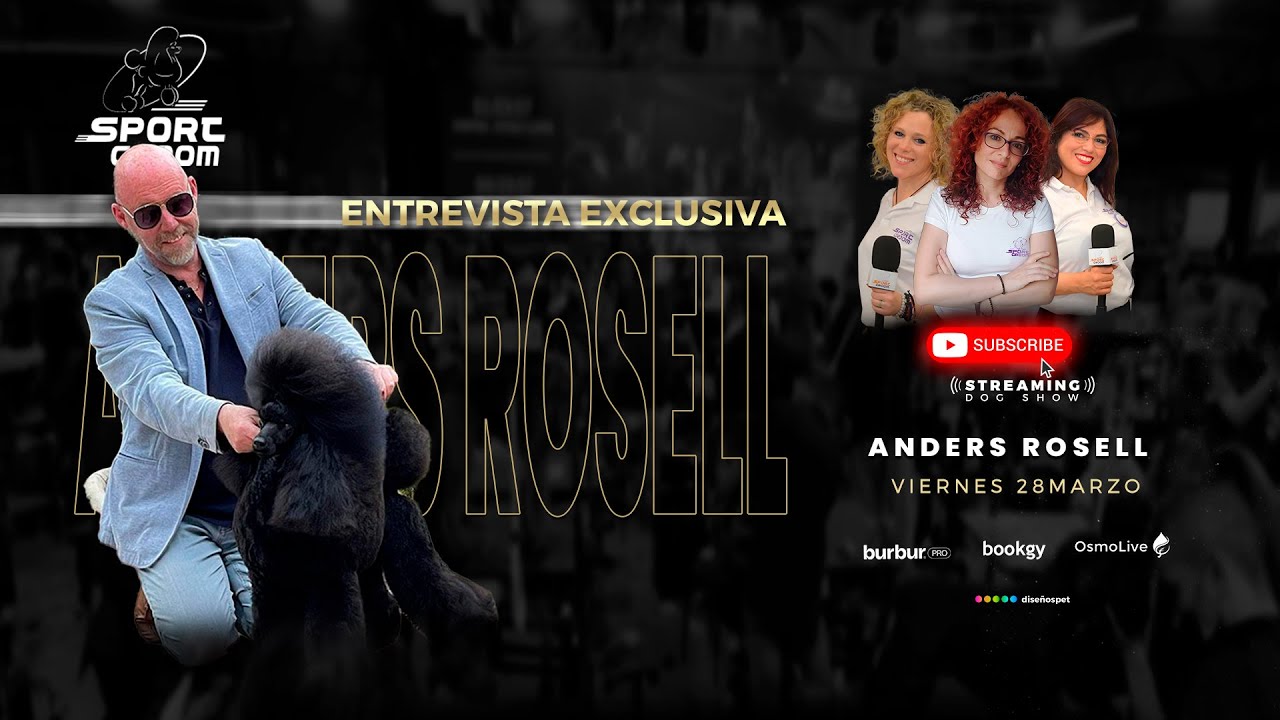 Anders Rosell Caniche, Corte Escandinavo