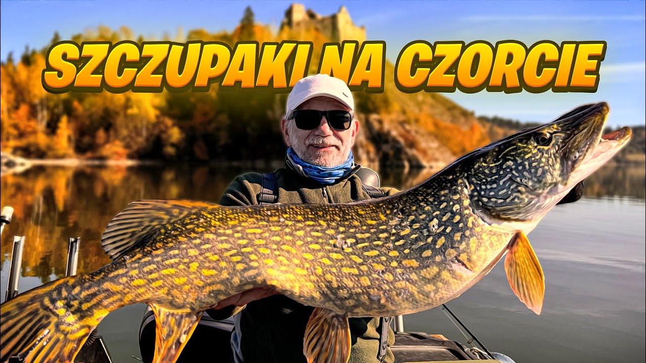 Łowimy sandacze i szczupaki na Czorcie!