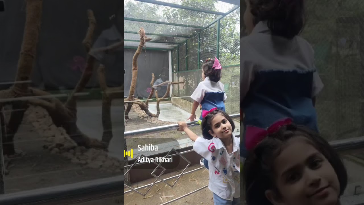 trip to van vihar Bhopal #viralvideo #vanvihar #lake #cityoflakes #cutebaby #tiger #panther