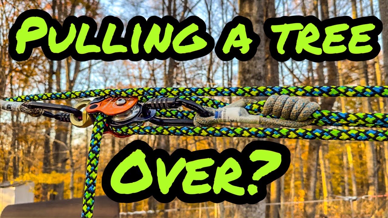 BEST WAYS TO PULL A TREE BY HAND!