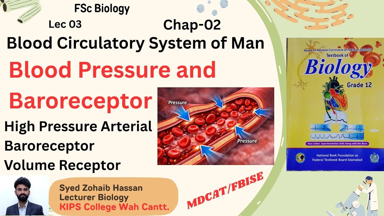 BLOOD PRESSURE AND BARORECEPTORS | Chap 3 Blood Circulatory System of Man|12  Biology| Zohaib Hassan