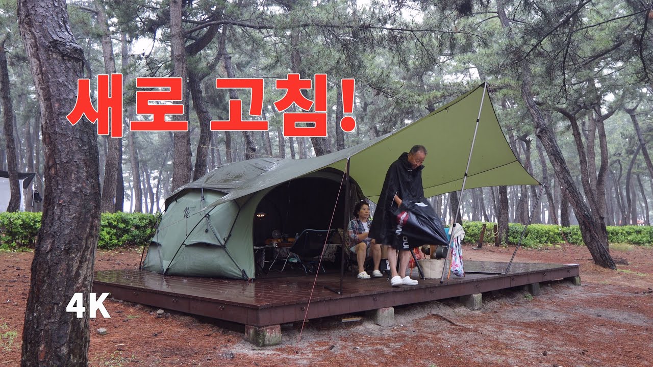 새벽 장대비 속 장년 우중 캠핑 완성. 바닷가 우중 캠핑