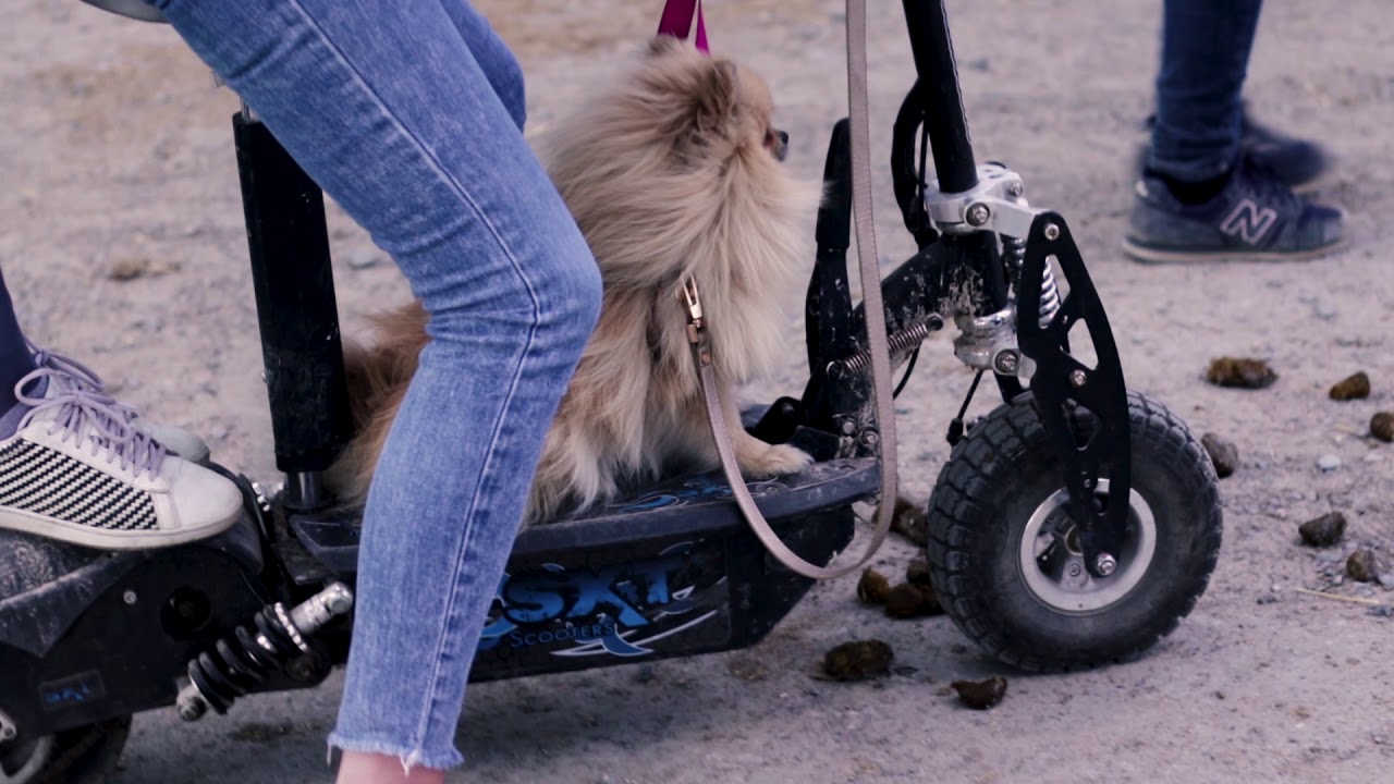 || Aftermovie || Concours Harcour 2019