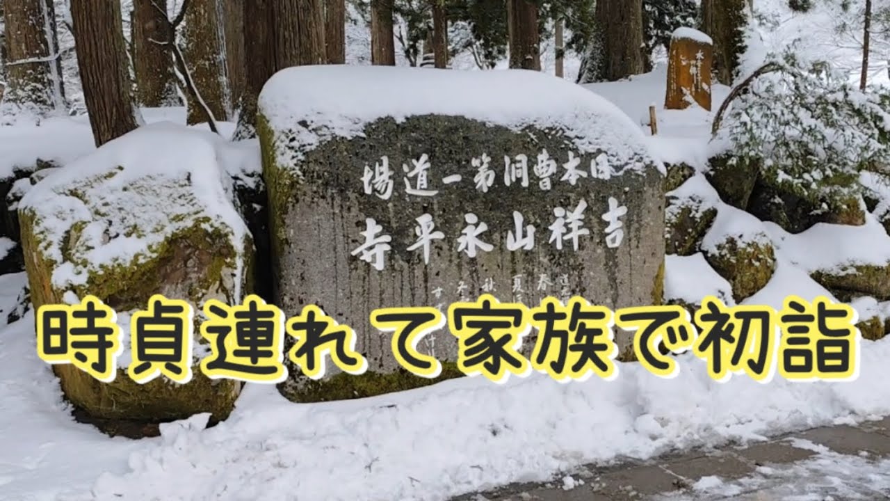 時貞と一緒に家族で初詣#ビーグル#愛犬#beagle 
