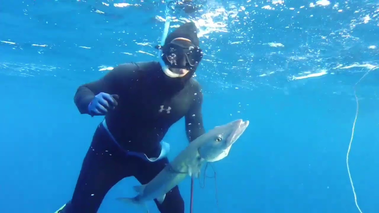 Pesca Profunda ( Último Suspiro )
