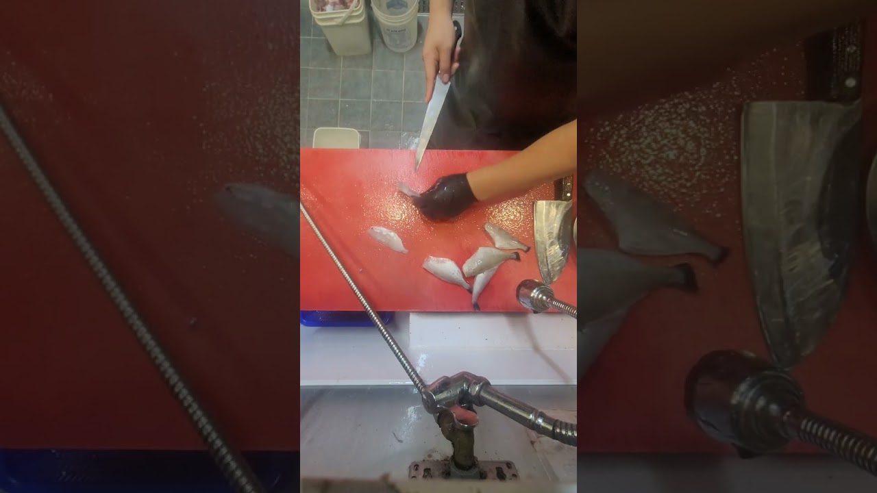 쥐치회뜨기