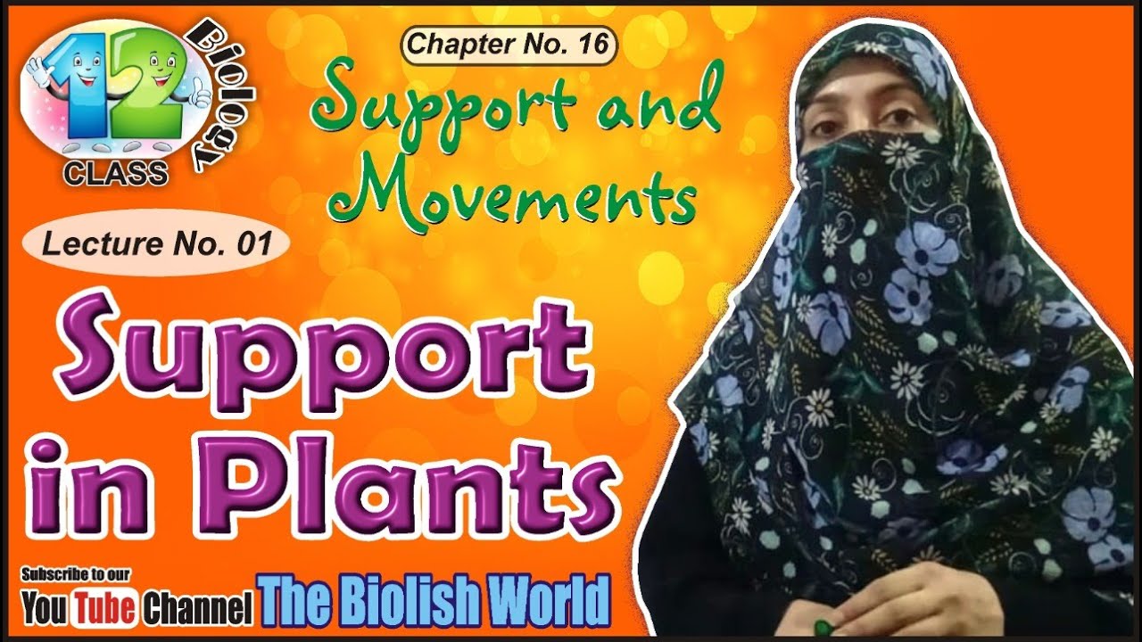 Support in Plants