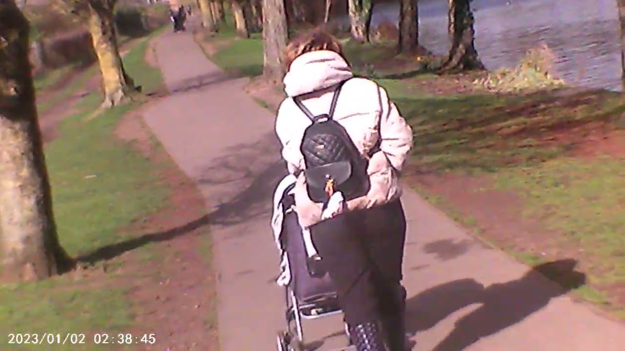 needham lake
