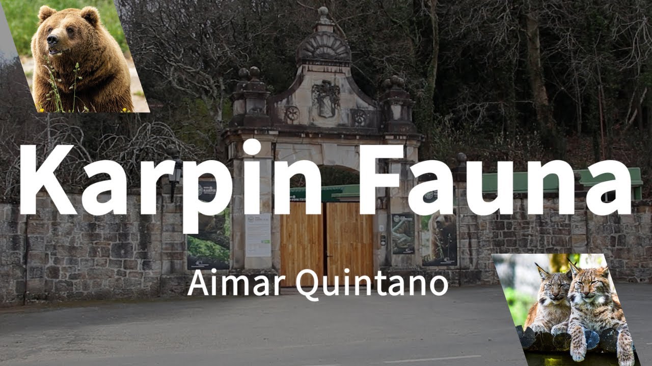 🐾Karpin Fauna: Rescatados, pero nunca libres. 🦁😢