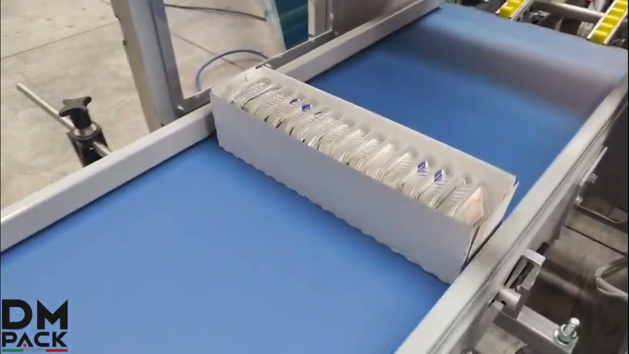Automatic Tray Packer 