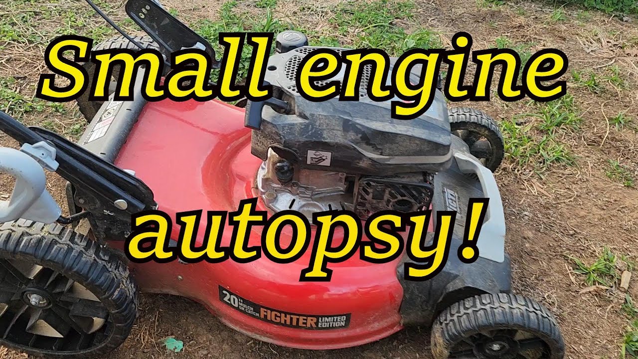 Small Engine Autopsy! 170cc 4 Stroke Victa Lawnmower in for Repair but it has way too many Problems!