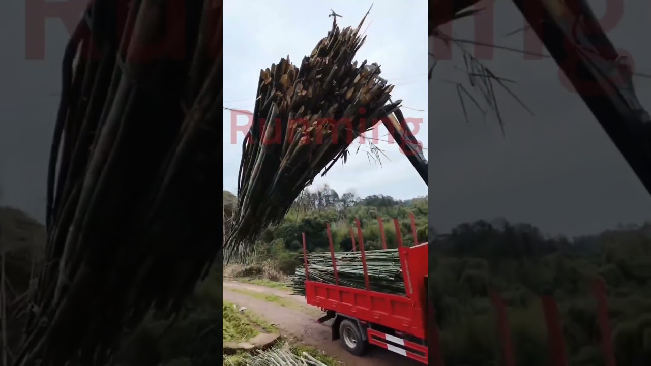 Runming TC650L #truckcrane  #tractor crane #loggingtrailer  #excavator Grapples