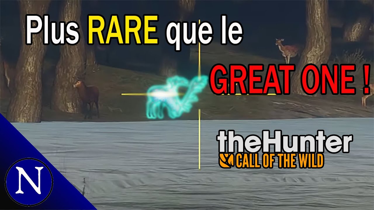 The Hunter COTW : Le gibier d'une vie !!!