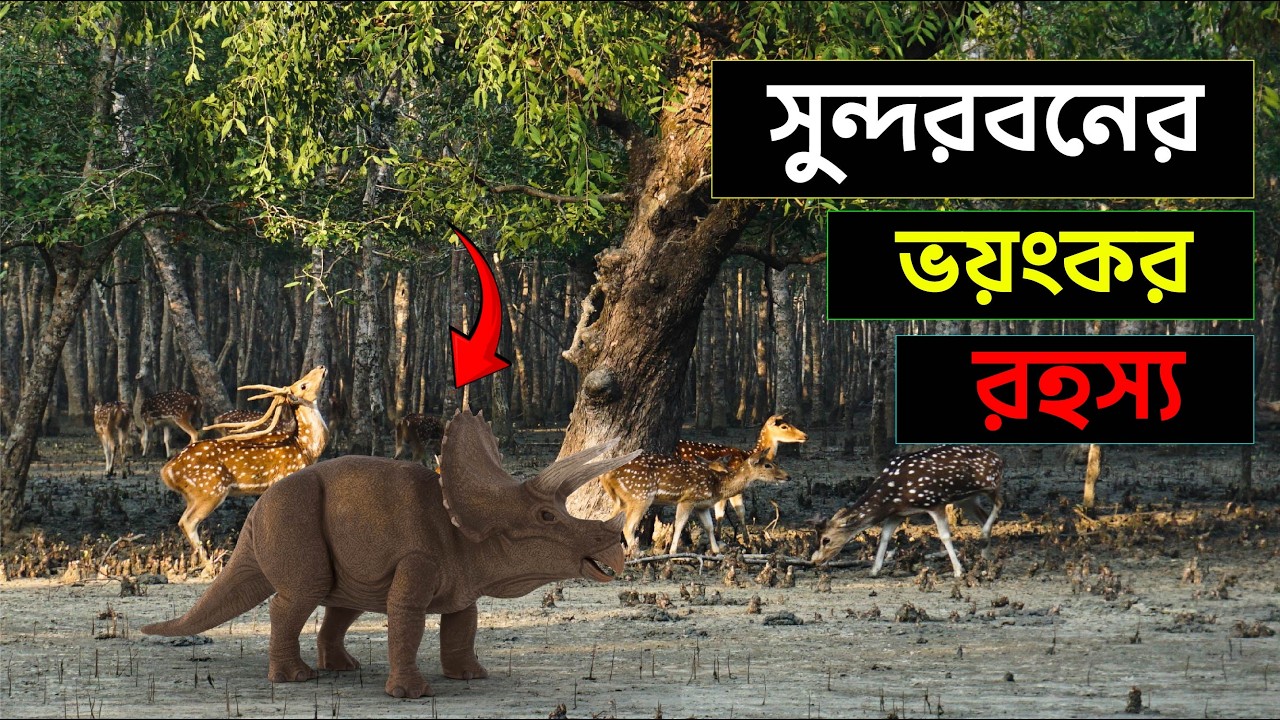 সুন্দরবনের গহীন রহস্য: ম্যানগ্রোভ অরণ্যের বুকে এক রোমাঞ্চকর যাত্রা | The Secrets of Sundarbans