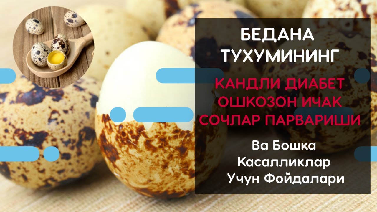БЕДАНА ТУХИМИНИНГ КАНДЛИ ДИАБЕТ,  ОШКОЗОН ИЧАК,  СОЧ ПАРВАРИШИ ВА БОШКА КАСАЛЛИКЛАР УЧУН ФОЙДАЛАРИ